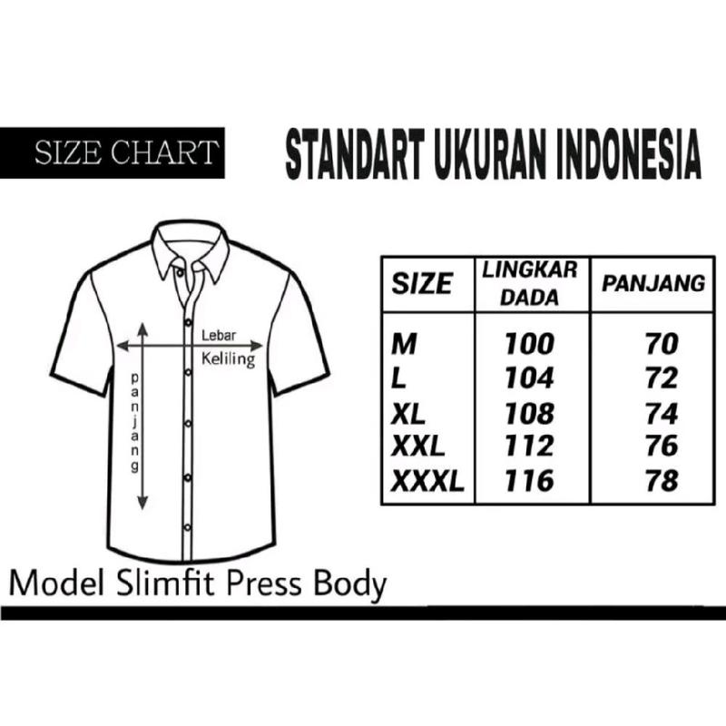 PAKET 2 PCS super hemat kemeja Pria Polos Jumbo XXL sampai XXXL Casual atau Formal Katun V-Neck lengan pendek 8