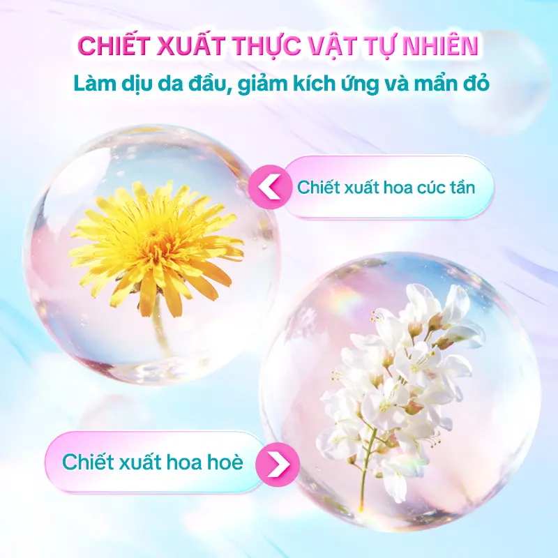 Xịt gội khô KOAI Dry Shampoo Spray 150ml – Kiềm dầu nhanh, tóc bồng bềnh tự nhiên, không bột trắng, hương hoa cao cấp | BigBuy360 - bigbuy360.vn Xịt gội khô KOAI Dry Shampoo Spray 150ml – Kiềm dầu nhanh, tóc bồng bềnh tự nhiên, không bột trắng, hương hoa cao cấp | BigBuy360 - bigbuy360.vn