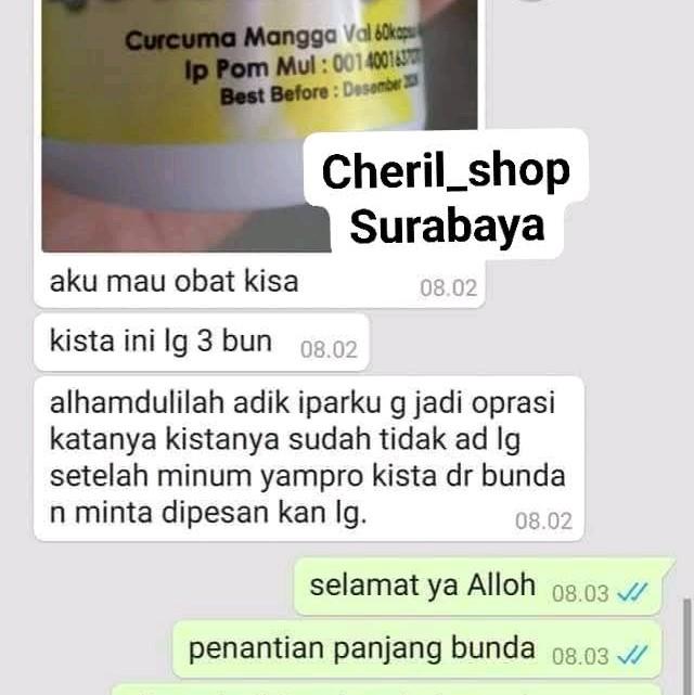 Habbat Promil dan YAMPRO MANGGO: Herbal Alami untuk Mengatasi Kista, Miom, dan Endometriosis 1