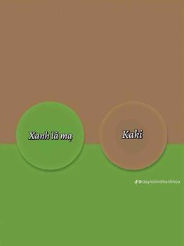 Product Review of Áo Không Tay Lưới Hở Lưng Bó Sát, Dây Rút Thắt Lưng, Thiết Kế Đẹp Mùa Hè, 2022 Hình Ảnh Chính Thức, Giá Thật, Phong Cách 2024 from H**n 0