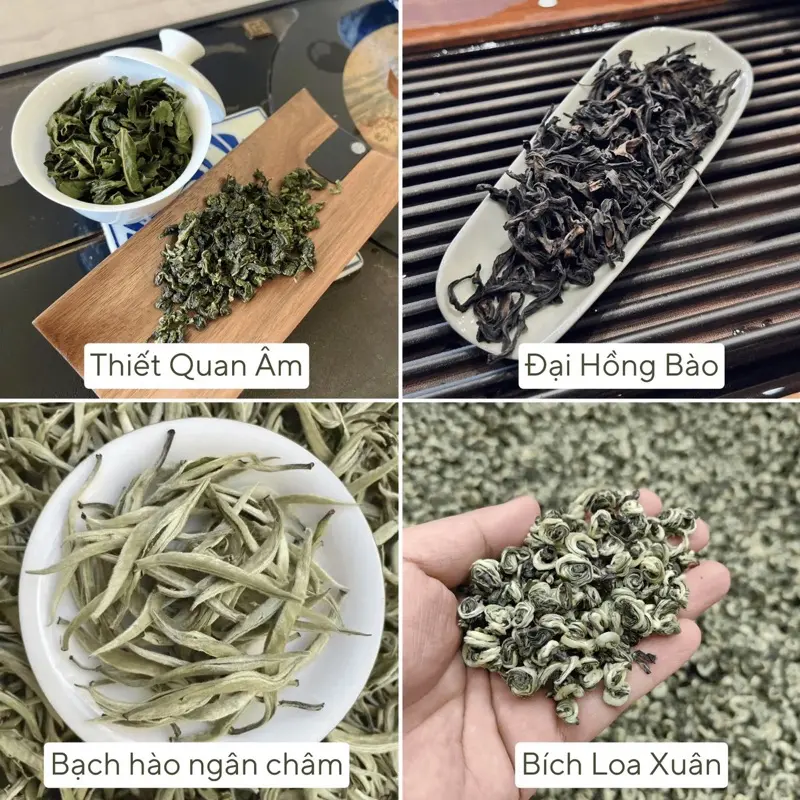 Combo Trà 12 Loại Nổi Tiếng Trung Hoa - Thưởng Trọn Hương Vị Từ Núi Non 5