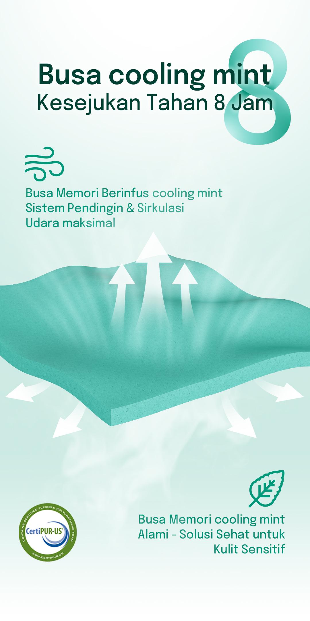 Kasur Busa Spons Pocket Spring Tebal 25cm Lantai Matras Anti Lembab Free Bantal Cooling System 3D Ice Silk dengan Teknologi Dingin & Busa Peppermint