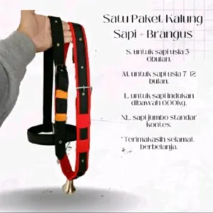 1 SET KALUNG SAPI+BRANGUS