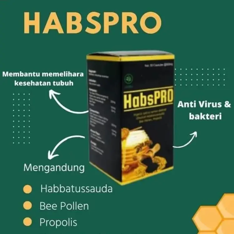 HABSPRO Suplemen Herbal berbentuk kapsul yang memiliki kandungan utama Habbatussauda suplemen