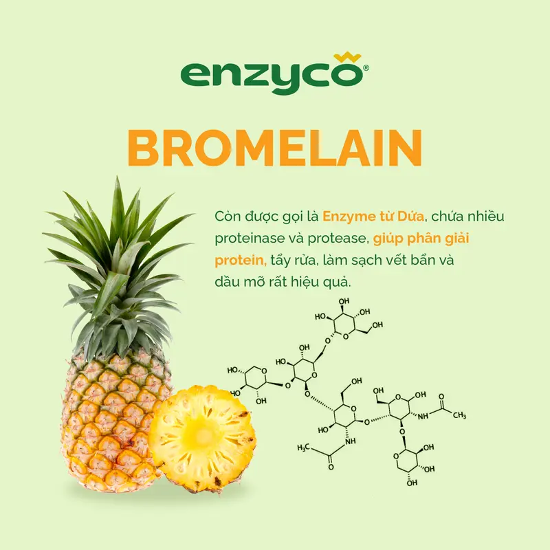 Nước rửa chén bát sinh học ENZYCO 4L - Chiết xuất Bồ hòn và Enzyme Dứa - Hương thơm từ Tinh Dầu Gừng Ta Tự Nhiên 5