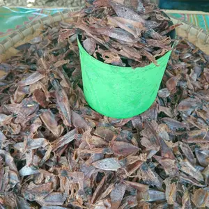 cumi kering (original)  aman tanpa pengawet