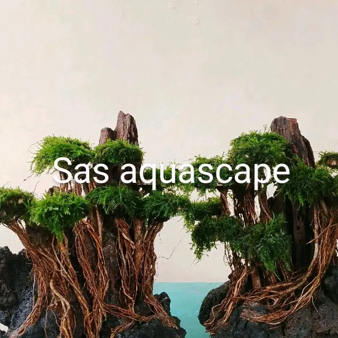 ornamen harscape aquascape hiasan aquarium 0