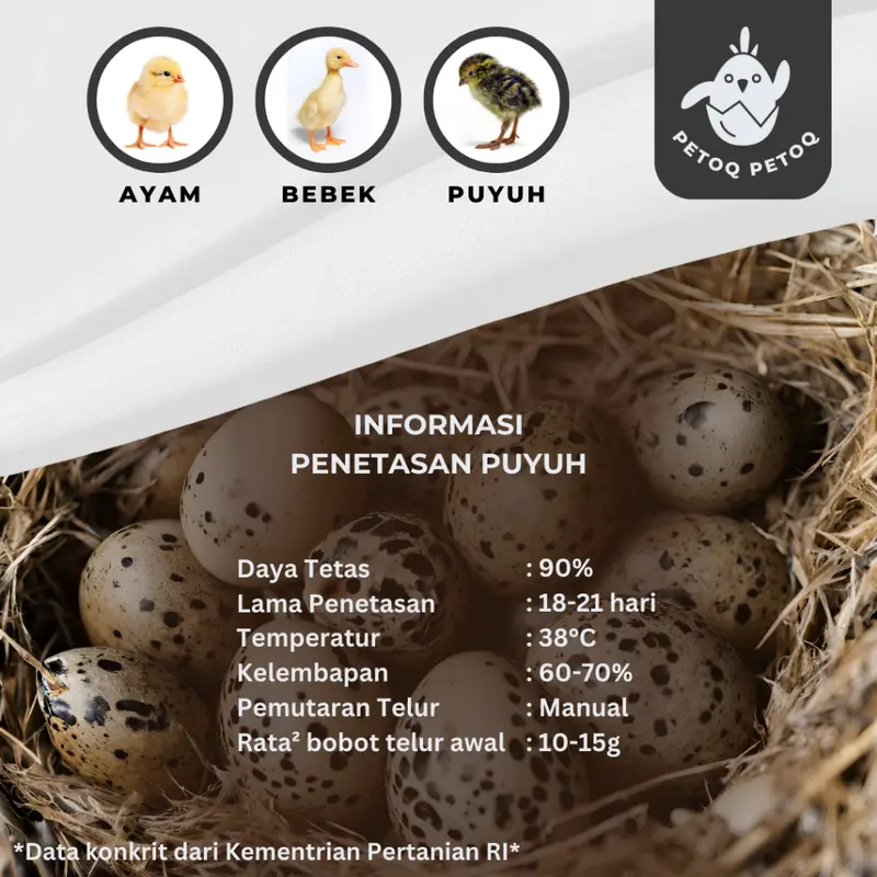 Mesin Penetas Telur Semi Otomatis Digital Kapasitas 16 Telur Petoq Petoq PTQ-16 Inkubator Telur Egg Incubator 6