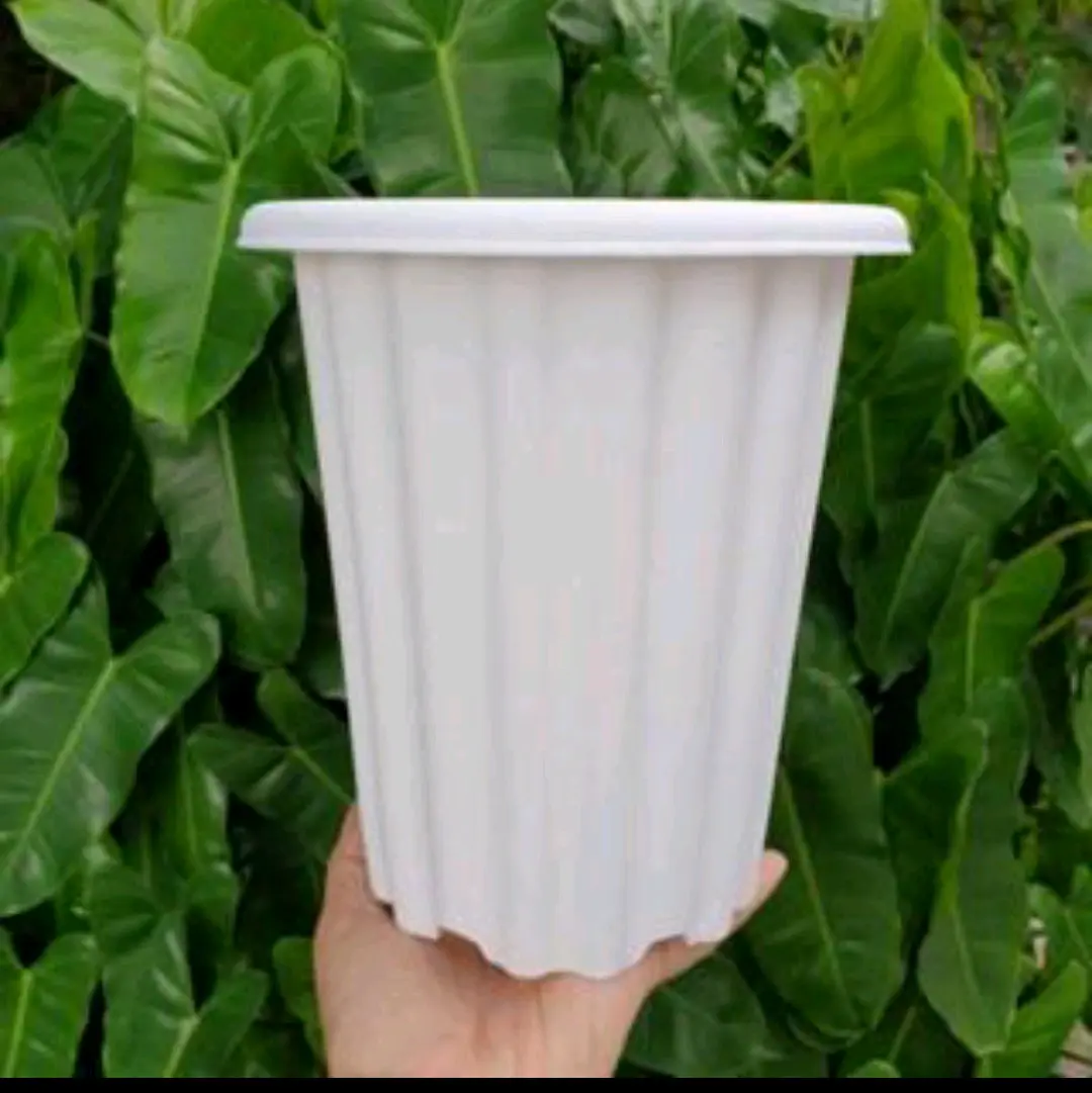 pot swiss ukuran 13 cm/ plastik tahan lama/ 22 pcs/ 22 pcs 300 ribu