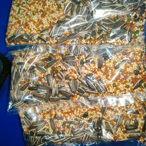 Pakan Hamster Berkualitas untuk Kesehatan Hamster