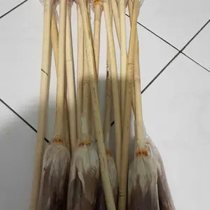 Tongkat Bulu Adat Dayak Kalimantan Papua untuk Tari Pentas Seni Panjang 45cm