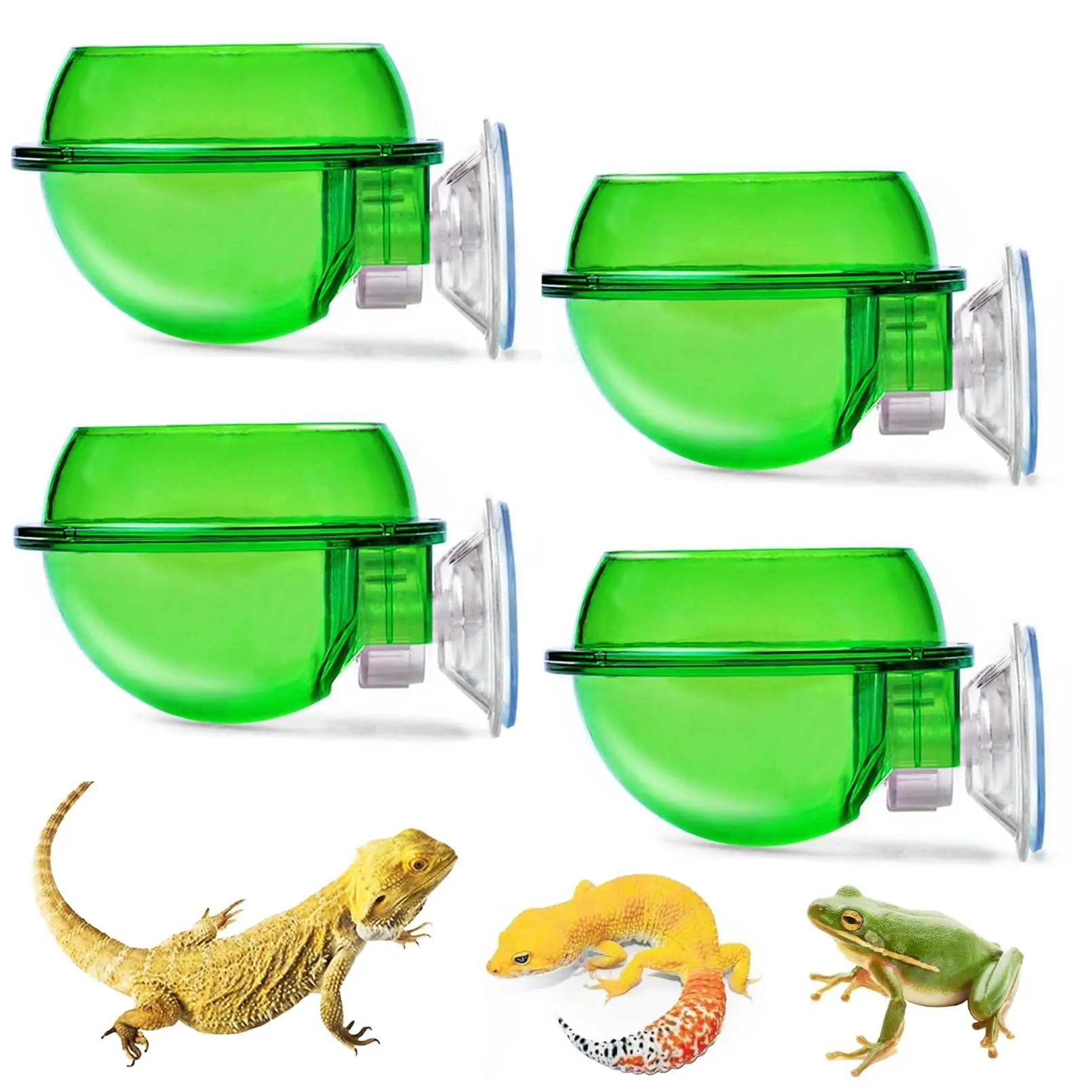 Reptile Feeding Bowl, 4 Counts/set Double Layer Suction Cup Reptile Feeding Bowl, Pet Feeding Supplies for Lizard Gecko Chameleon