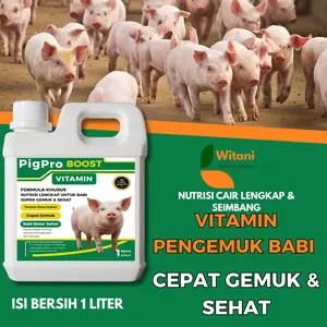 Vitamin Penggemuk Babi Nafsu Makan Naik Cepat – Obat Babi Kurus Jadi Gemuk Padat Panen Cepat