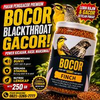 Gambar Makanan Burung CAROLL BOCOR Blackthroat Sanger Mozambik Sehat Gacor dari Seputar Burung Indonesia Kab. Sukoharjo 3 Tokopedia
