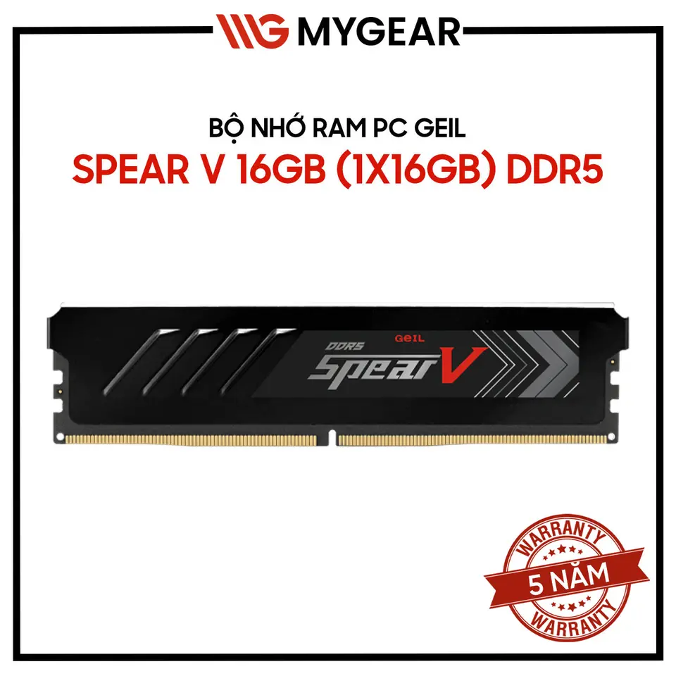 Ram PC DDR5 GEIL SPEAR V 16GB 6000MHz BLACK (GASB516GB6000C38CSC)