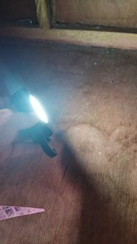 Product Review of Smiling Shark LED Torch Light XPE Super Bright Flashlight with Hook Camping Light USB Rechargeable Zoomable Waterproof from N**S 2
