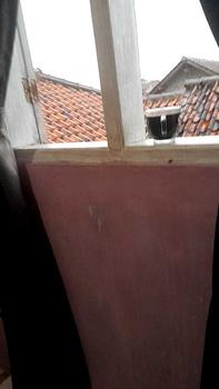 Product Review of 3 BOTOL SABUN CUCI PIRING 450 ML Cair from E** P**A 0