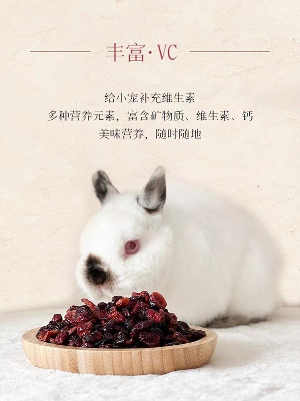 Gallery Detail: Cranberry Dried Rabbit Guinea Pig Hamster Snack