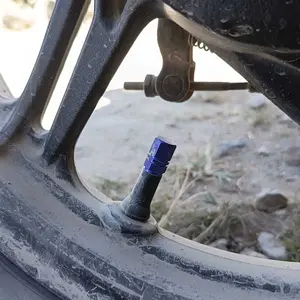 Tutup Pentil Ban Motif Unik Inti Tembaga Universal Mobil Sepeda Motor Tutup Katup Ban Berkualitas Tinggi dengan Desain Warna-warni Car ABS Material