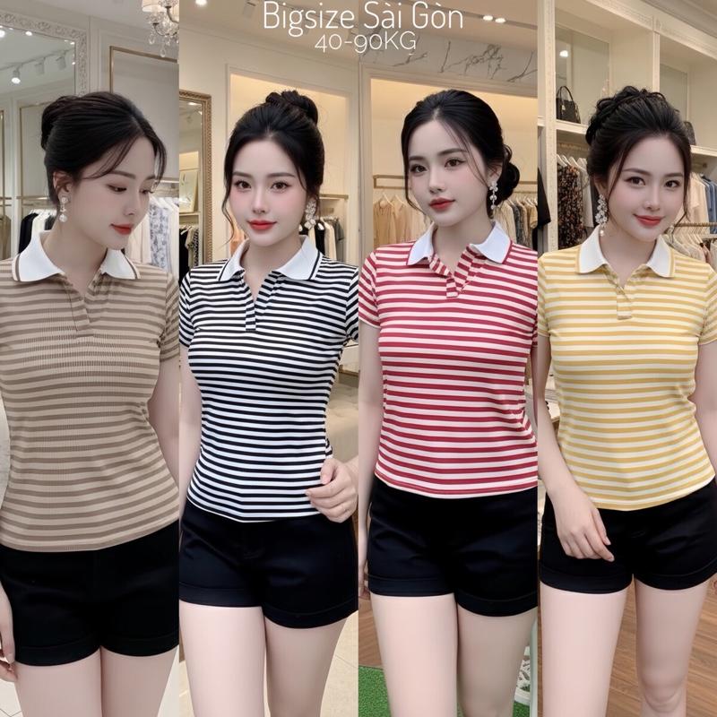 Áo Thun Nữ Cổ Polo Phối Sọc Vải Thun Gân Tăm 45-95Kg Có Bigsize Dễ Thương Top Women - B.1648