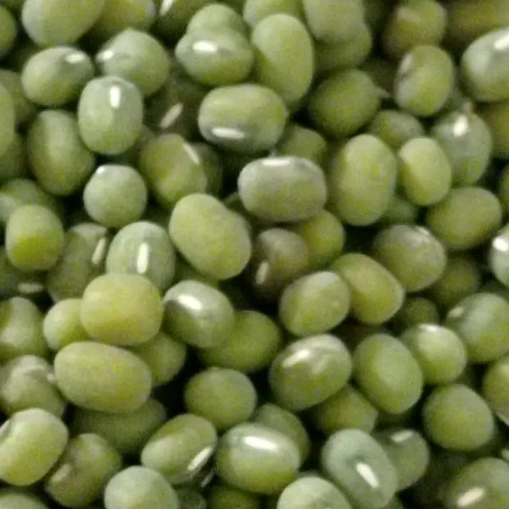 kacang hijau super kualitas premium 1kg 0