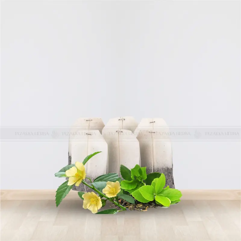 Tazakka Daun Sidaguri Kering Teh Asam Urat Dan Kolesterol Tinggi Isi 20 Kantung Celup Herbal Tea Bag Minuman Air Jahe Greentea 2