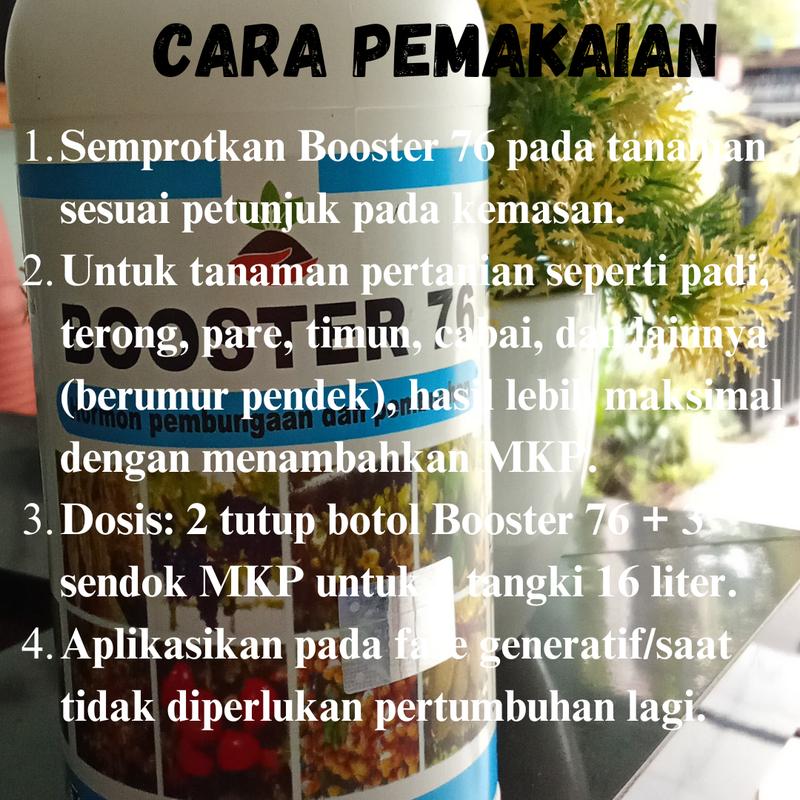 Booster 76 perangsang buah dan sayuran untuk pertanian dan perkebunan 2