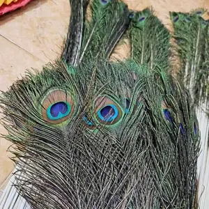 bulu merak panjang 115cm kwalitas premium