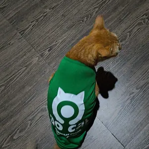 Baju Kucing Lucu Tema GoCat – Outfit Anabul Parodi Driver Gokil