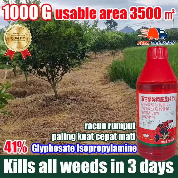 Kills all weeds in 3 days Racun rumput paling kuat cepat mat - TikTok ...