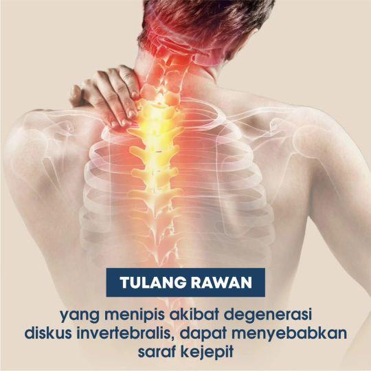 OVISURE GOLD Susu Vitamin Asli Memperbaiki Kerusakan Tulang Nyeri Sendi Otot Kebas Kesemutan BPOM HALAL FDA GMP Premium - Dairy, Milk