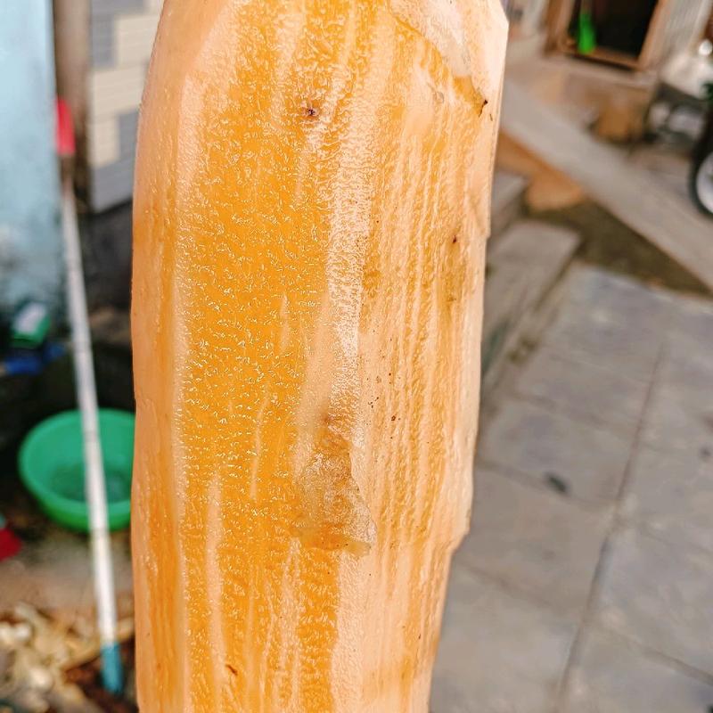 Thùng khoai sâm đất 5kg củ nhỏ khô ngon