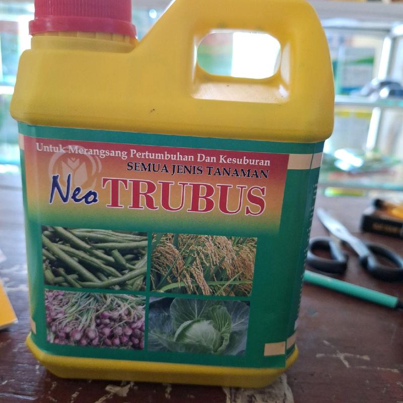 Pupuk Cair Neo Trubus 1L Merangsang pertumbuhan buah dan daun 1