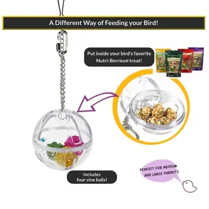 Parrot Chew Toy Hanging Foraging Ball with Balls Inside Bird Cage Acrylic Stand Drop Ship