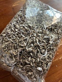 Product Review of [200g & 500g] Anak Ikan Tamban | Dried fish Food from K**T 0