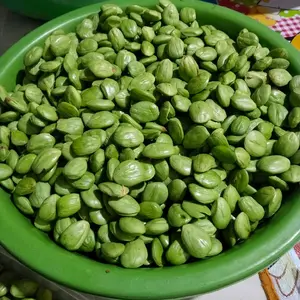 Petai Padi Kupas Fresh 1kg - Bahan Makanan Segar untuk Resepi Anda