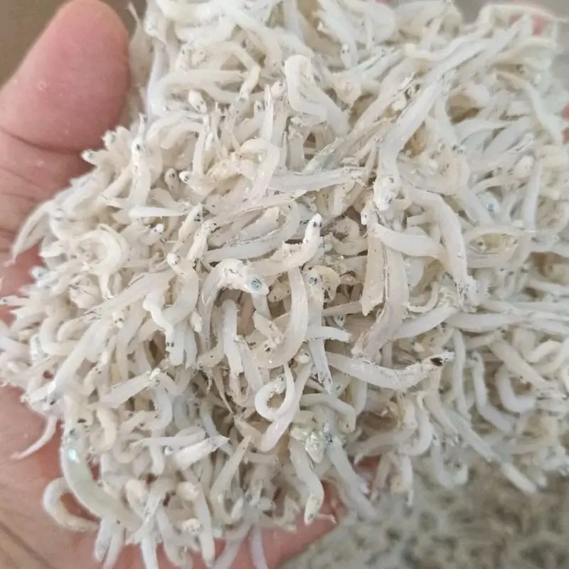Grosir teri nasi asin / Teri Medan kering / Teri putih Best Seller