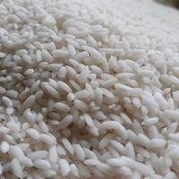 Gambar Beras Menthik Susu Organik "PondokAlam" 5kg dari Pondok Alam Kab. Sleman 4 Tokopedia