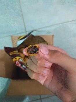 Product Review of COD Soes Coklat Cokelat/strawberry/ 500g/1kg /Update kemasan terbaru / merek baru/Malona/ mix rasa/halal Kue Sus Kering Isi soes coklat lumer 1 kgr Enak Murah （Cemilan keluarga, cocok untuk dewasa dan anak-anak） Chocolate Food Makanan Snack Manis from R**A 9**📱 3