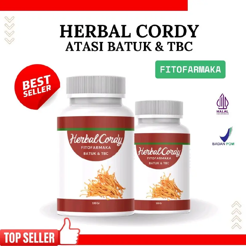Herbal Cordy Atasi Batuk dan TBC, Mengurangi Peradangan dan Sesak Napas 0