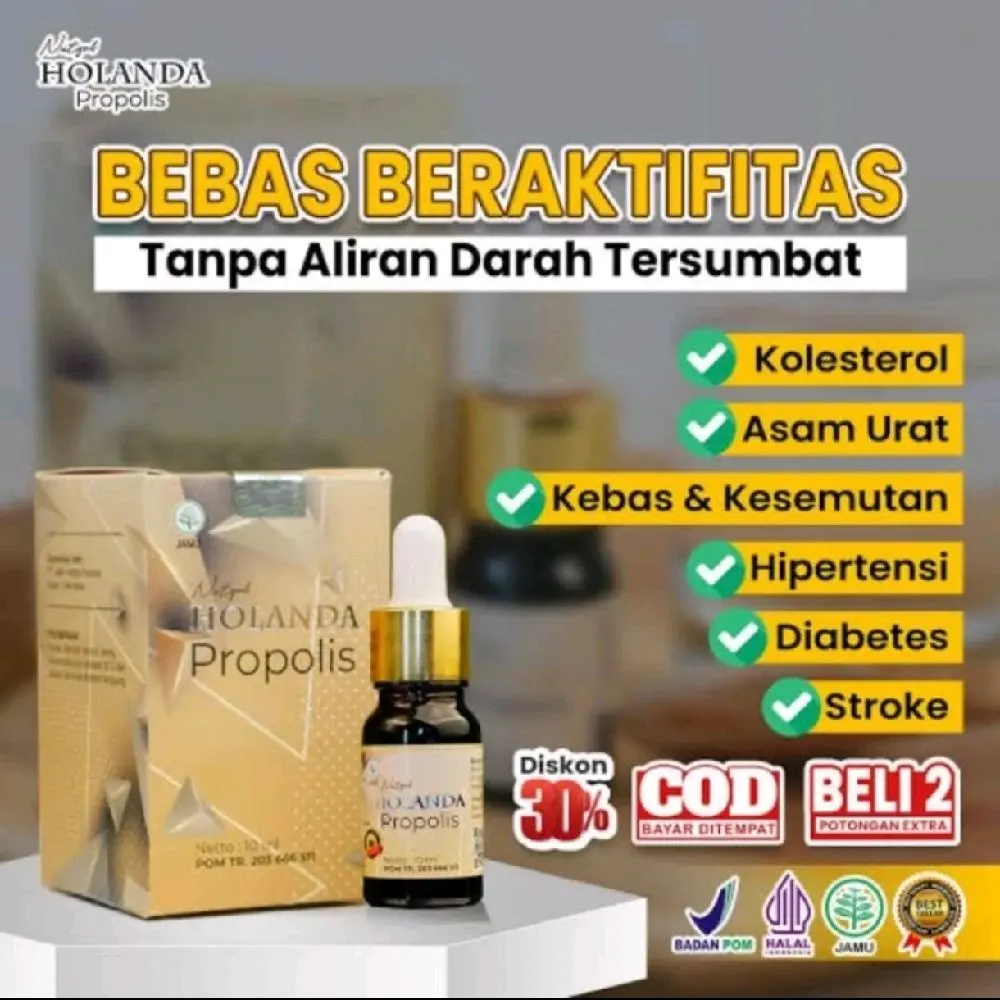 Holanda Propolis Atasi Kolesterol Asam Urat Ampuh