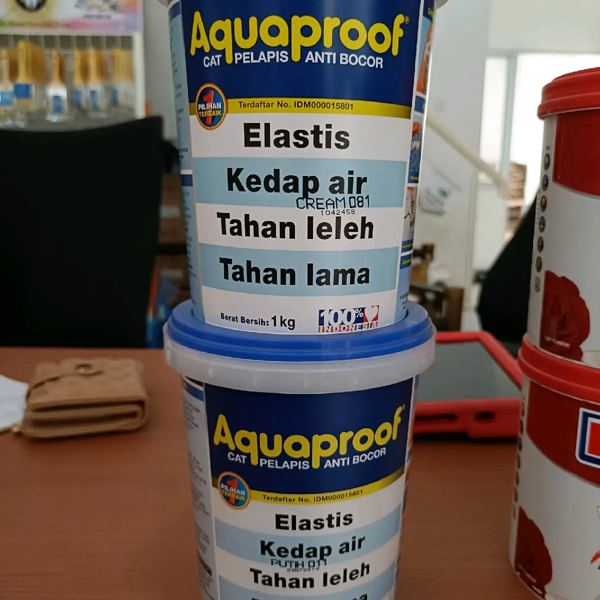 Cat Tembok Aquaproof anti jamur 1kg