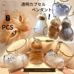 猫の毛収納ボックスペンダント、毛のカプセルコレクション飾り、キーチェーンバッグチャーム、ペットグルーマー用透明オーガナイザー、glp-1