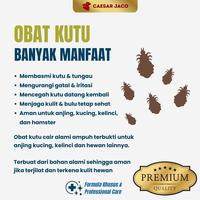 Gambar Obat Kutu Cair Alami Ampuh dan Terbukti Hewan - Kutu Cair 50ml dari Caesar JacO Kota Administrasi Jakarta Barat 2 Tokopedia