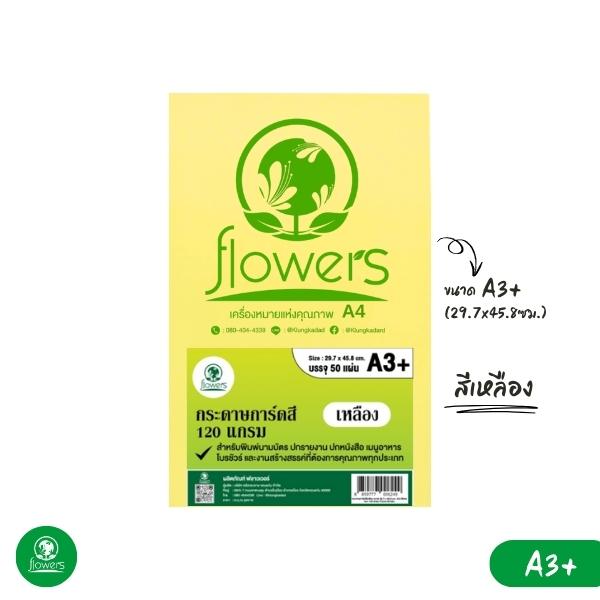 กระดาษการ์ดสี flowers A3+ 120 แกรม 50 แผ่น (Colors Card Paper)