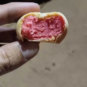 SATUAN BAKPIA PAHTOK RAIZHEL ISI 10 BAKPIA KERING Food