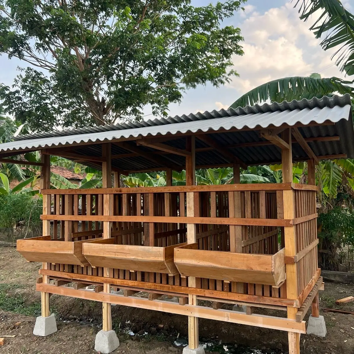 Kandang kambing ekomonis.