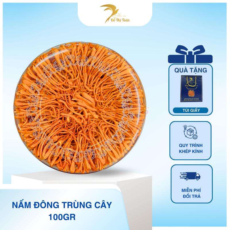 [AFL-DTT] Nấm Đông trùng hạ thảo Cây (có cây lớn nhỏ- có gãy nhẹ)- sấy thăng hoa- Yến sào Đỗ Thị Toán