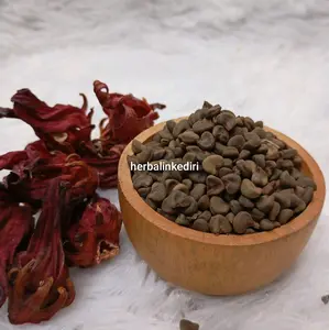 Benih Bunga Rosella Merah 70 Biji Siap Tanam