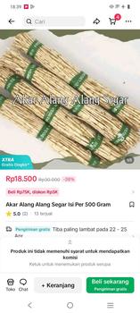 Product Review of Akar Alang Alang Segar Isi Per 500 Gram from M**2 0